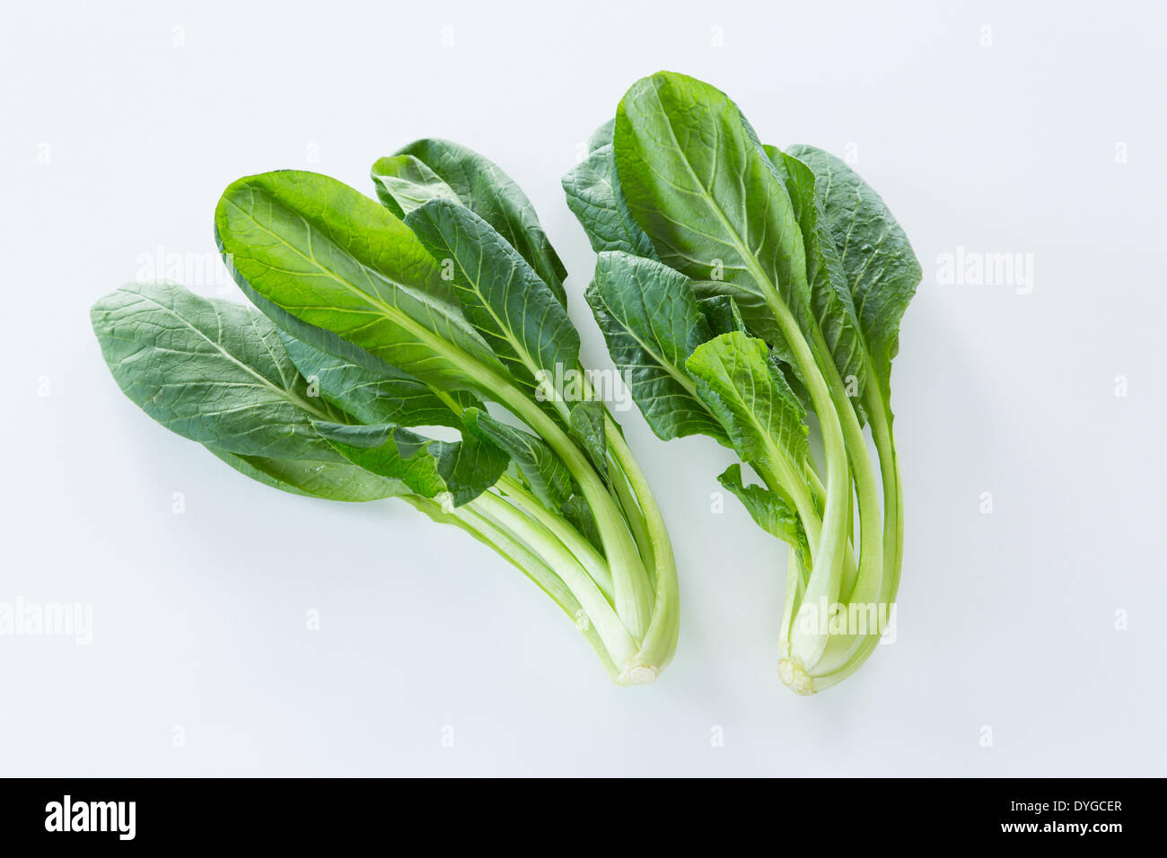 Japanese Mustard Spinach Stock Photo Alamy