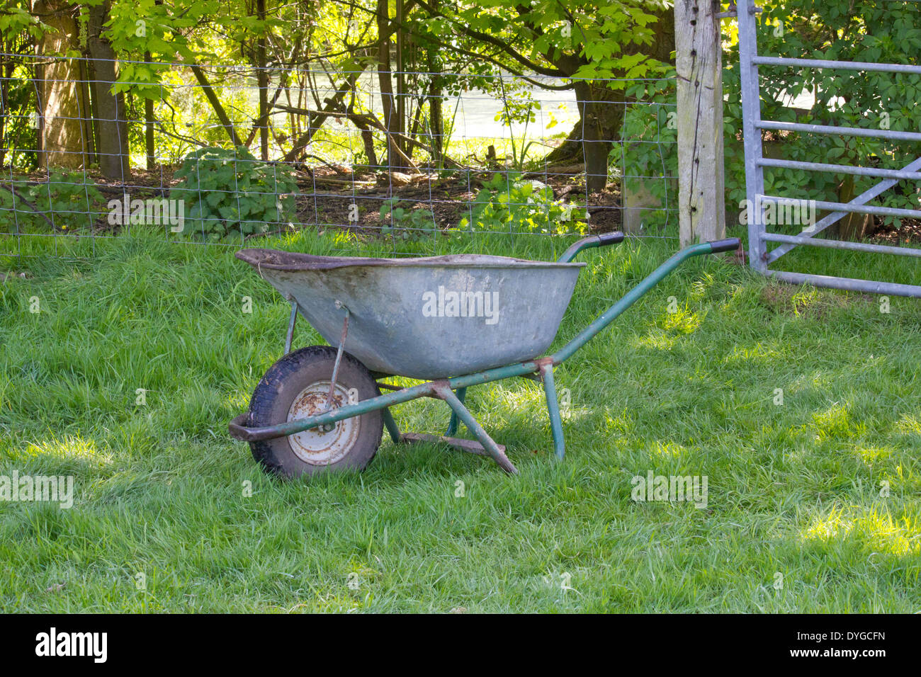 old and worn wheel barrow resting on  grass containing horse manure Stock Photo