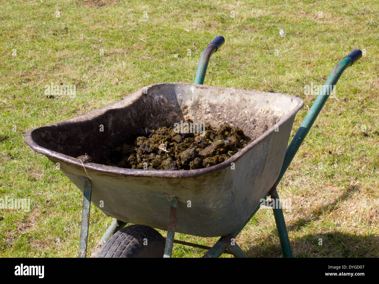 old and worn wheel barrow resting on  grass containing horse manure Stock Photo