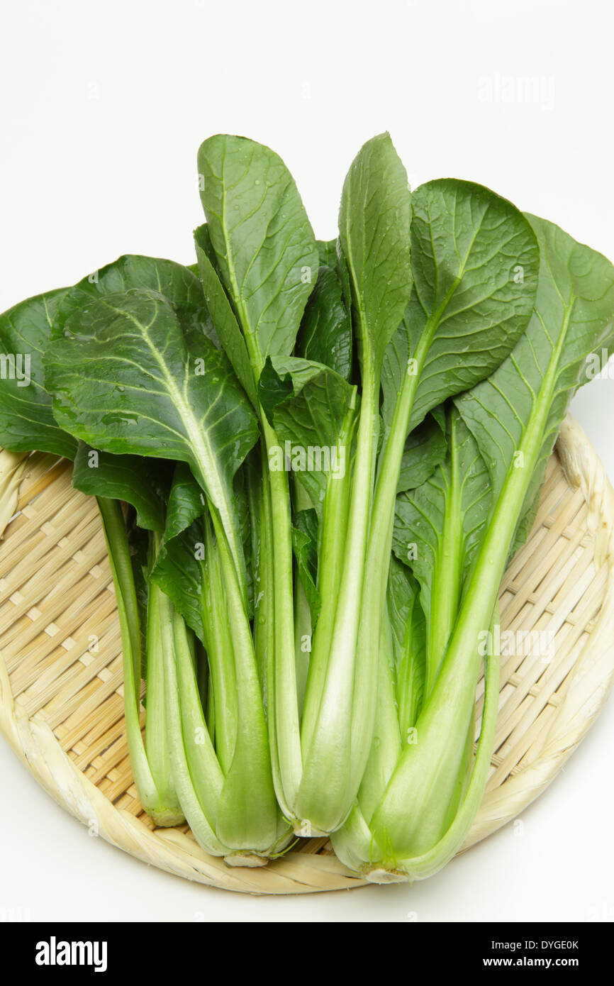 Japanese Mustard Spinach Stock Photo Alamy