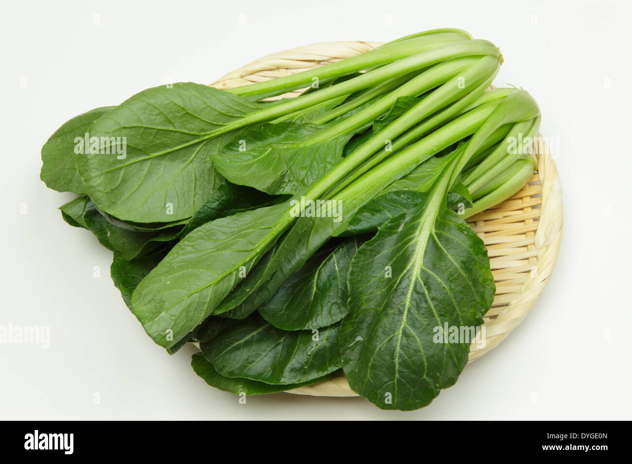 Japanese Mustard Spinach Stock Photo Alamy