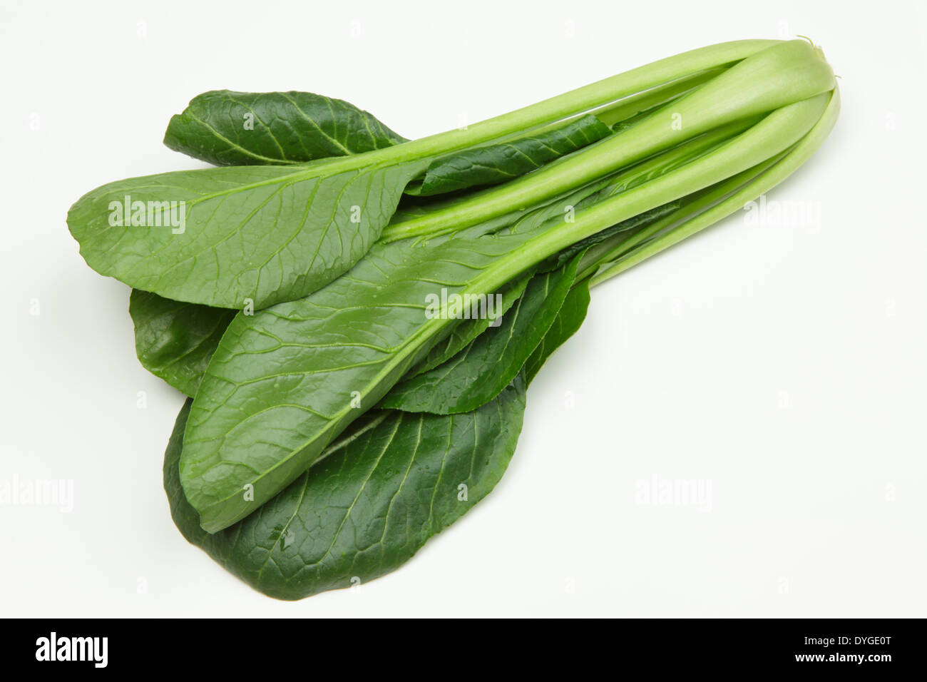 Japanese Mustard Spinach Stock Photo Alamy