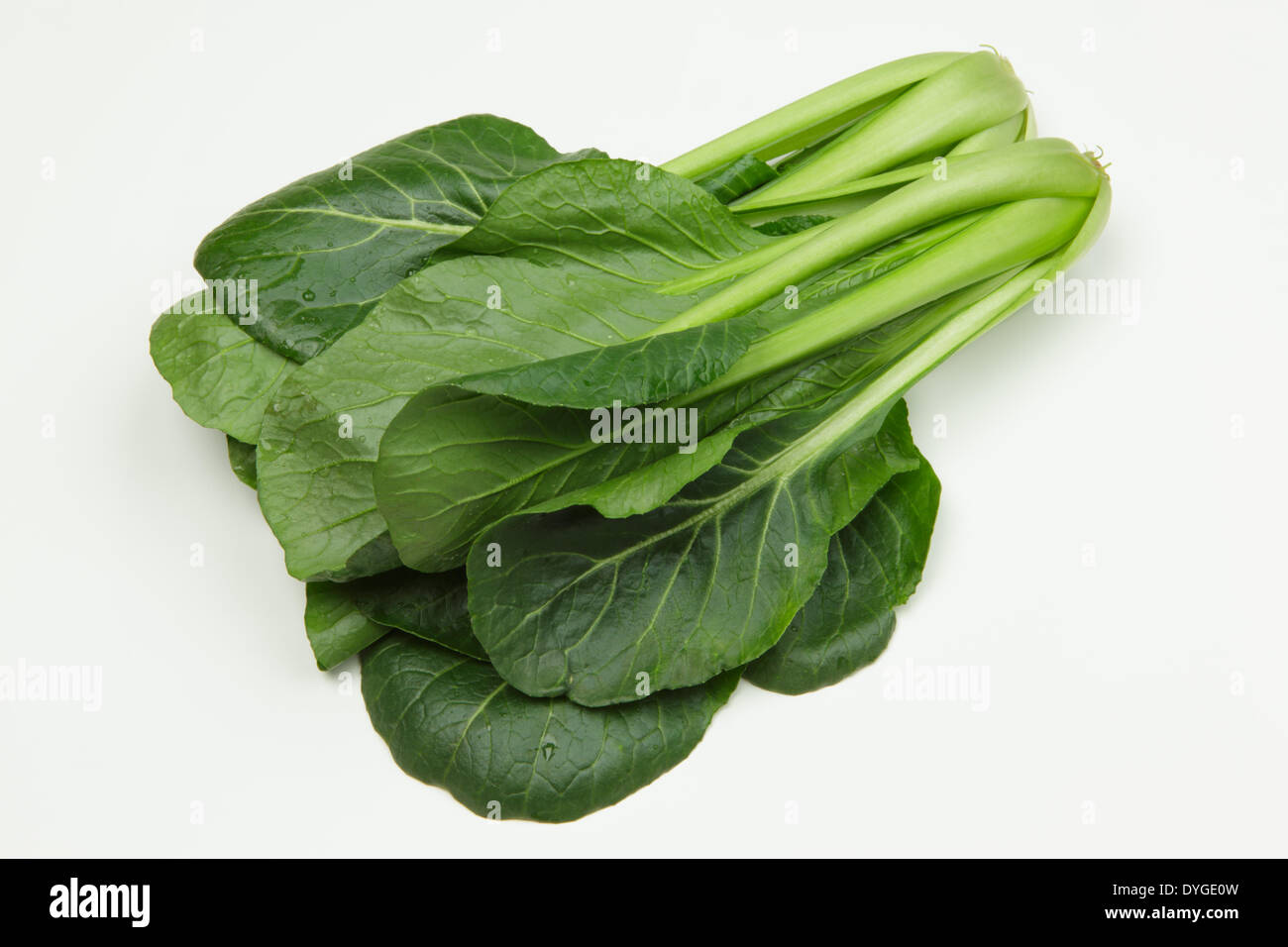 Japanese Mustard Spinach Stock Photo Alamy