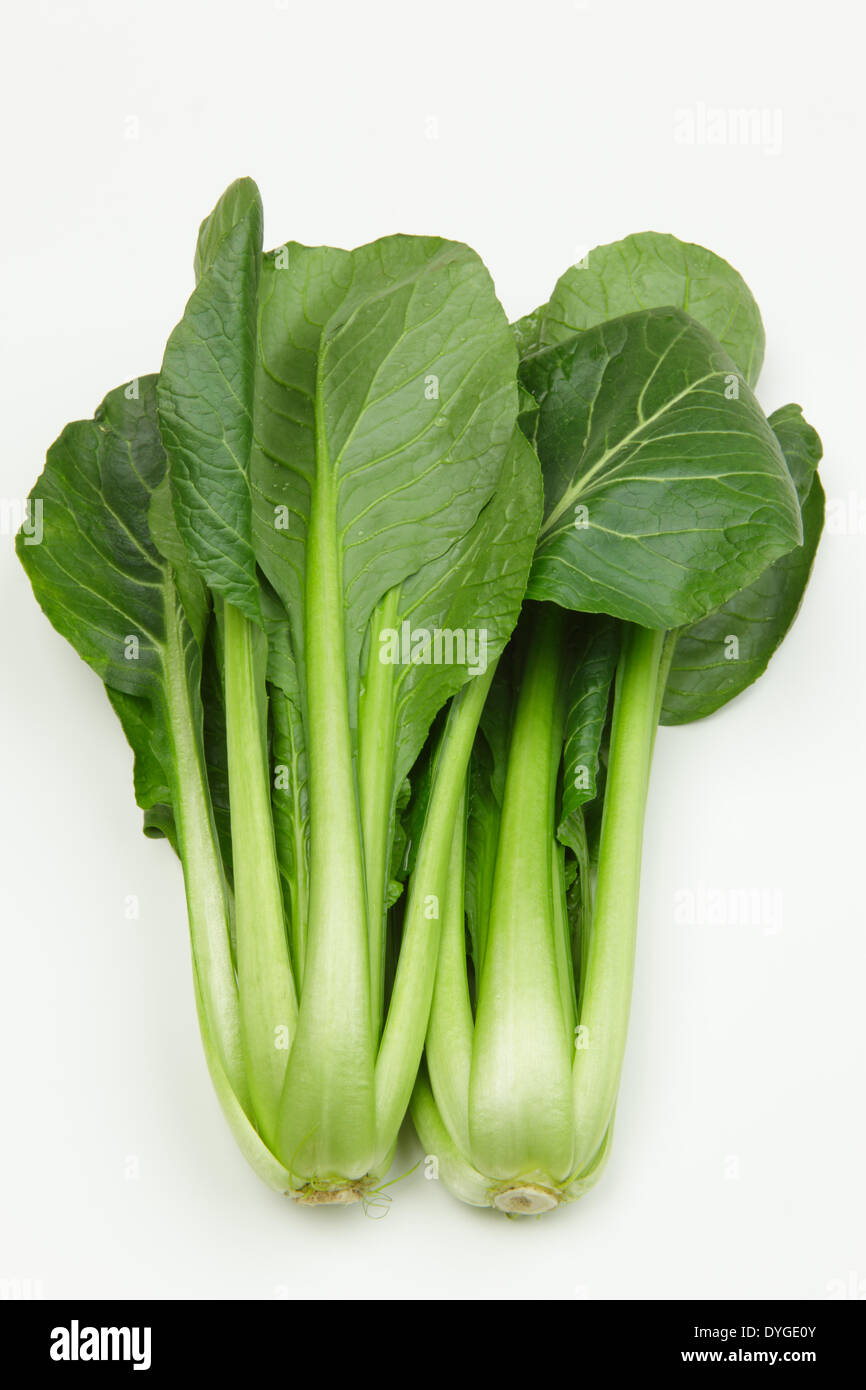 Japanese Mustard Spinach Stock Photo Alamy