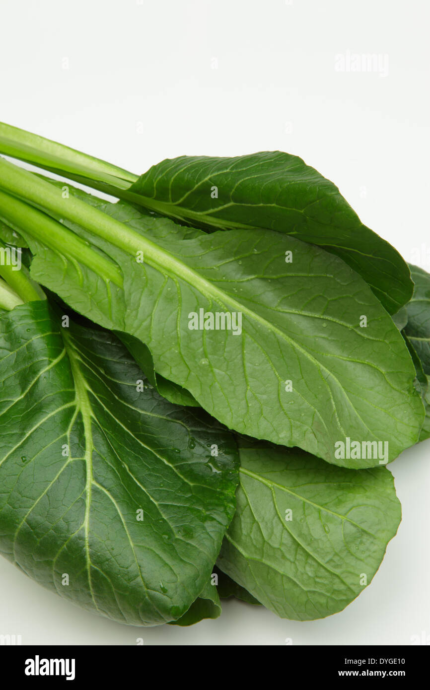 Japanese Mustard Spinach Stock Photo Alamy