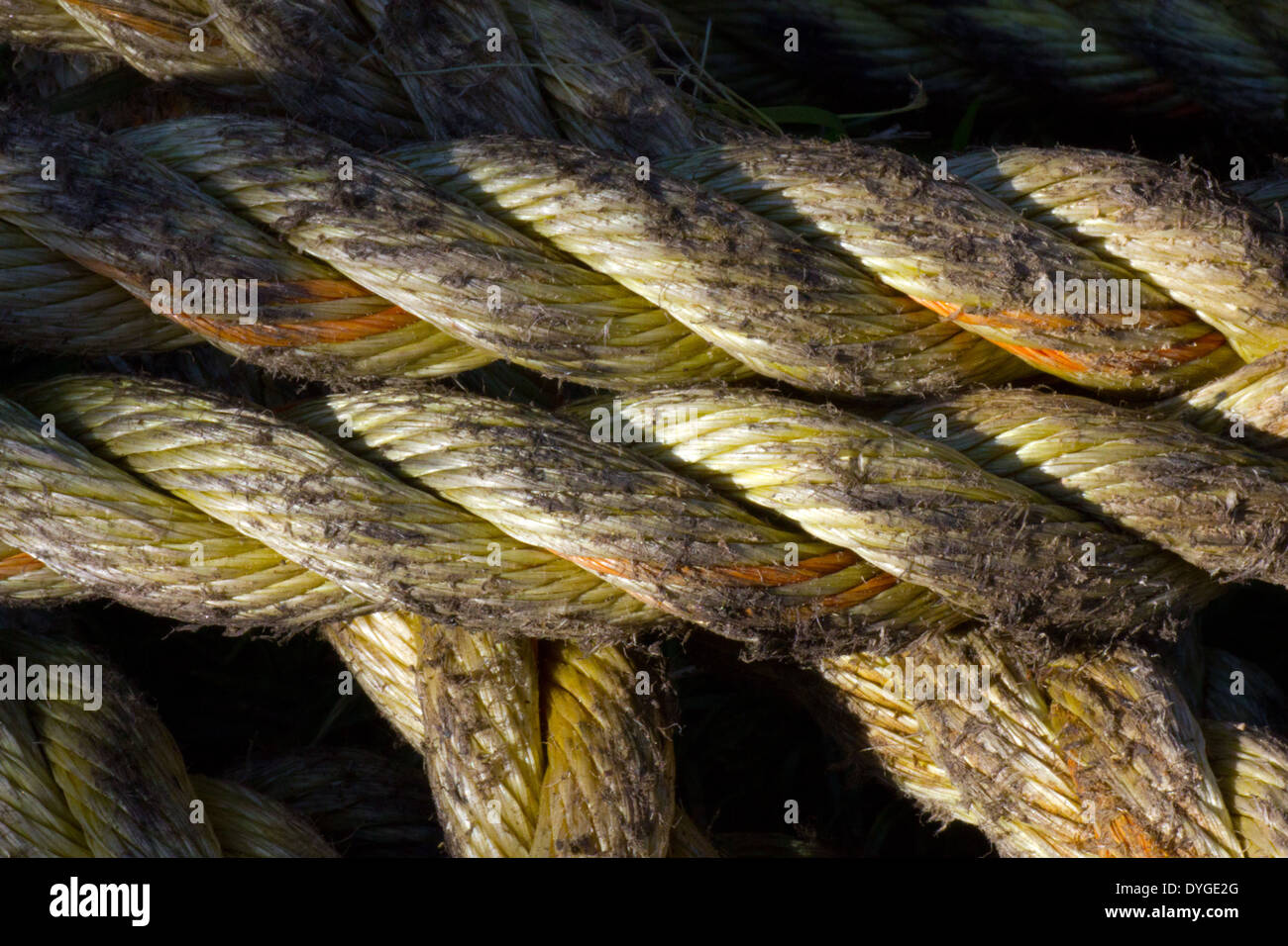 two parallel ropes that are yellow with orange flecks, slightly dirty ...