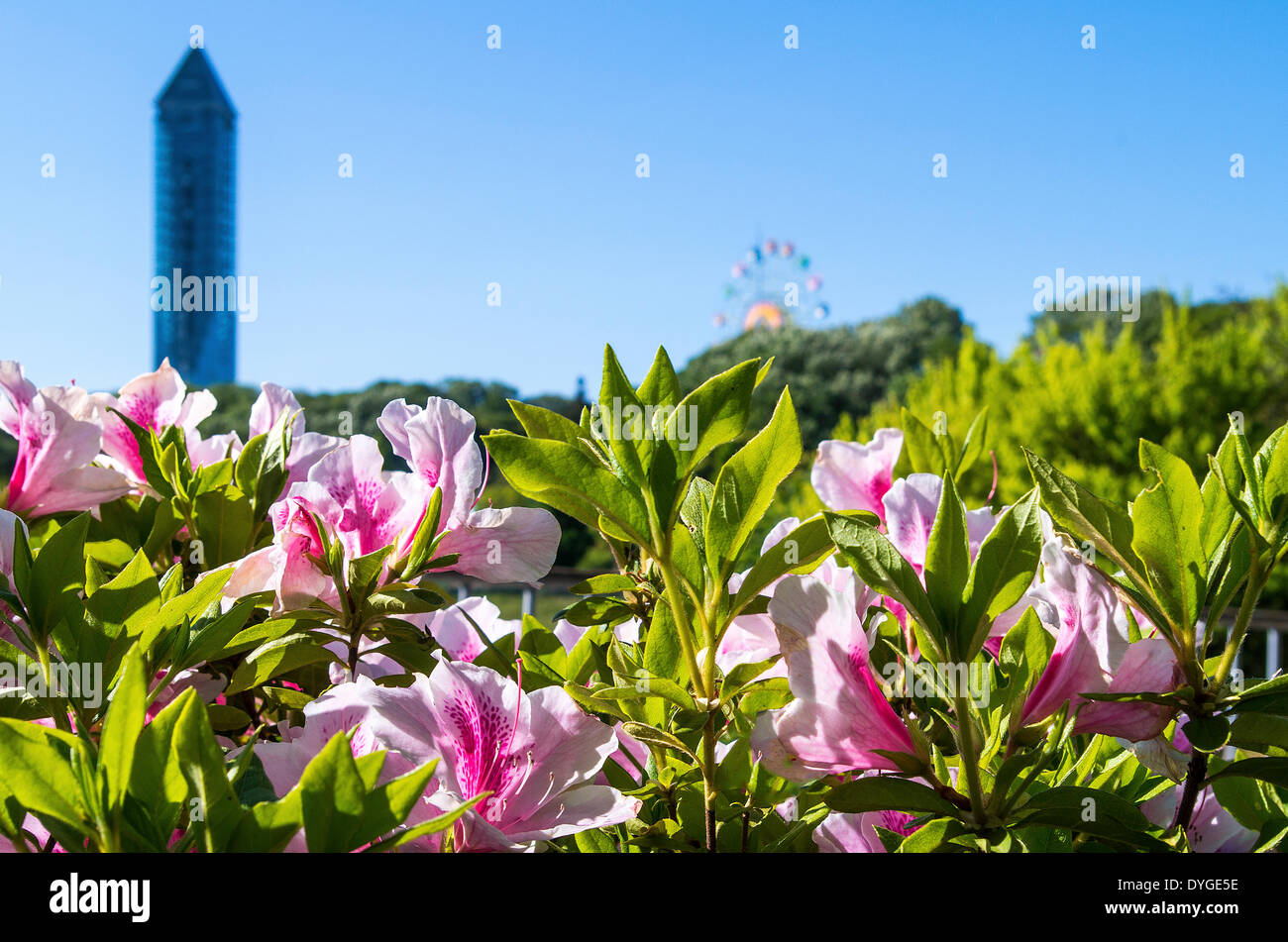 Higashiyama Sky Tower and flowers, Aichi Prefecture, Japan Stock Photo