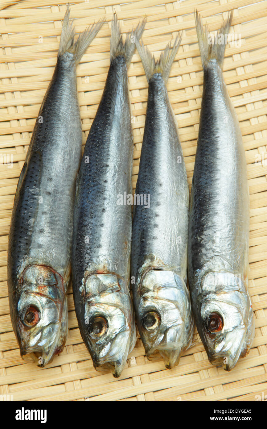 Japanese pilchard hires stock photography and images Alamy