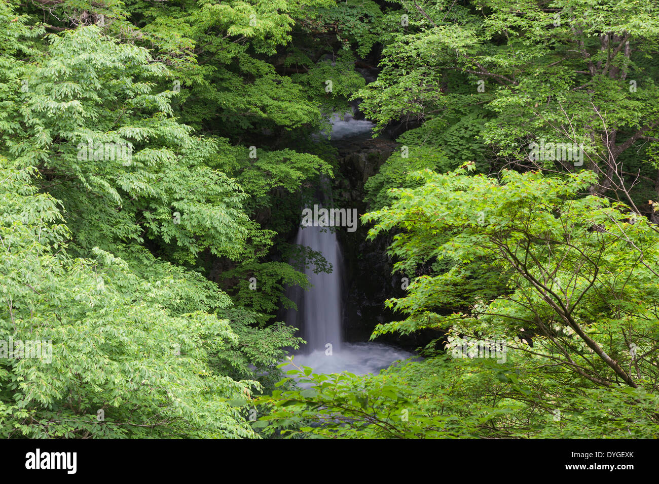 Koizumi Waterfall, Gunma Prefecture, Japan Stock Photo