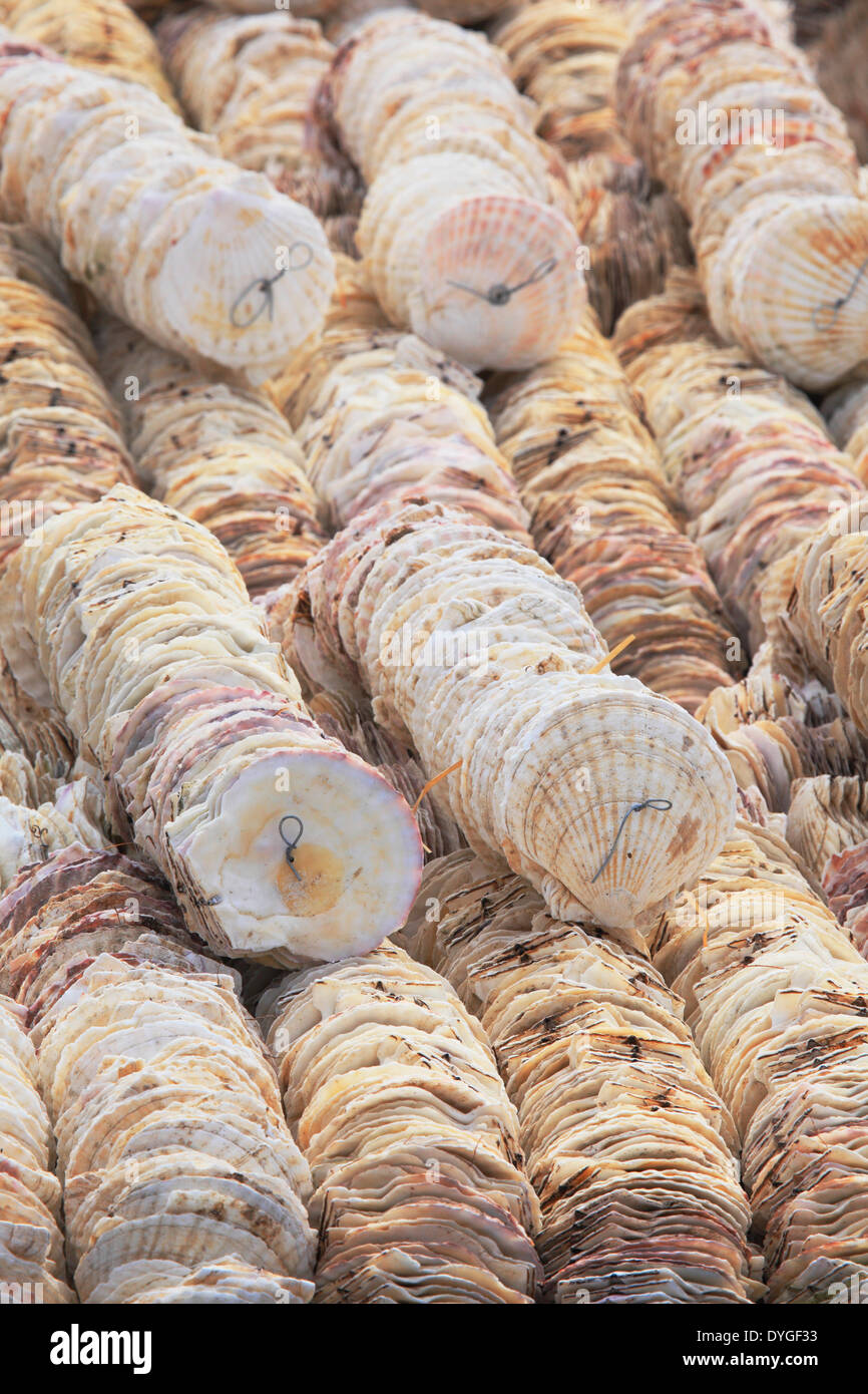 Oku matsushima hi-res stock photography and images - Alamy