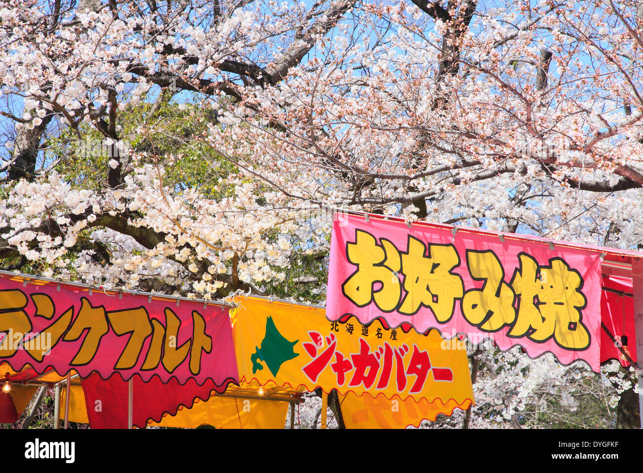 Cherry blossoms and shops Stock Photo Alamy