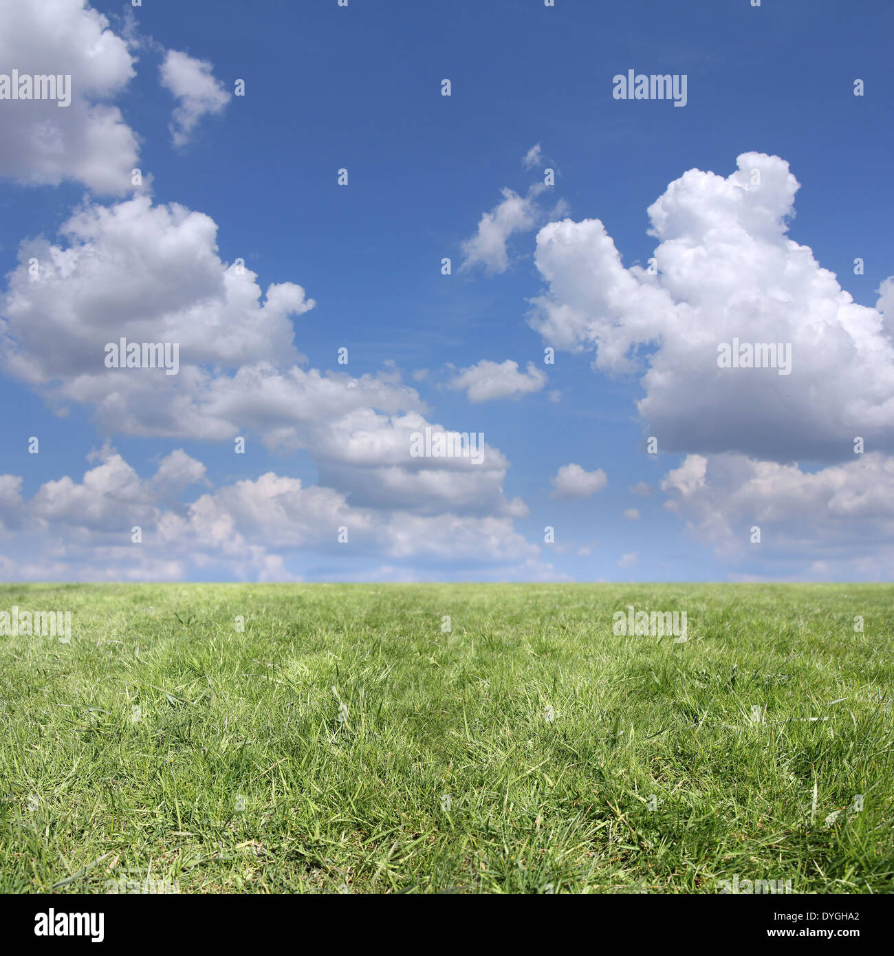 Background of cloudy sky and green grass Stock Photo - Alamy