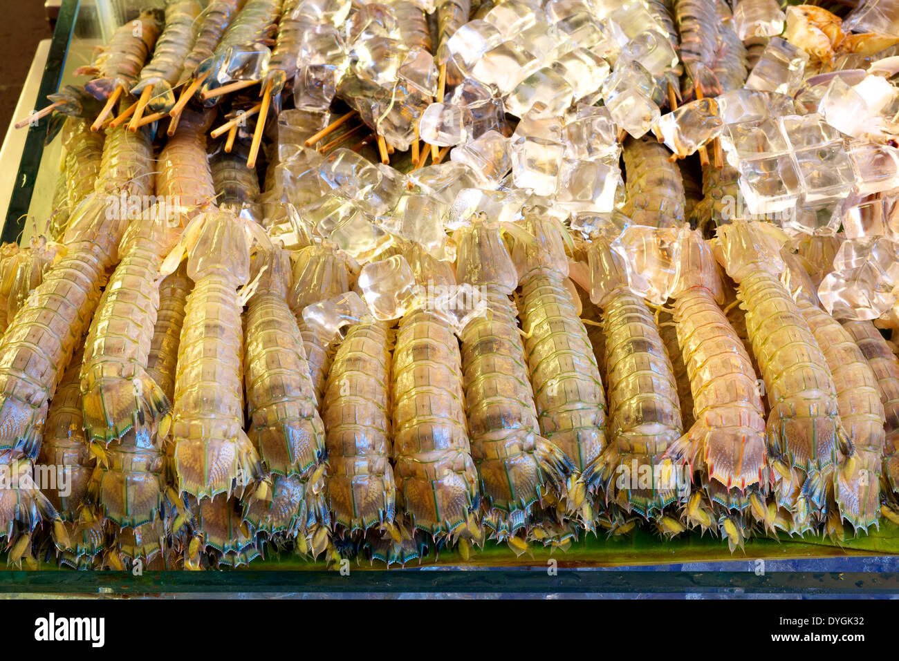 Fresh mantis Shrimp with ice in restaurant buffet Stock Photo