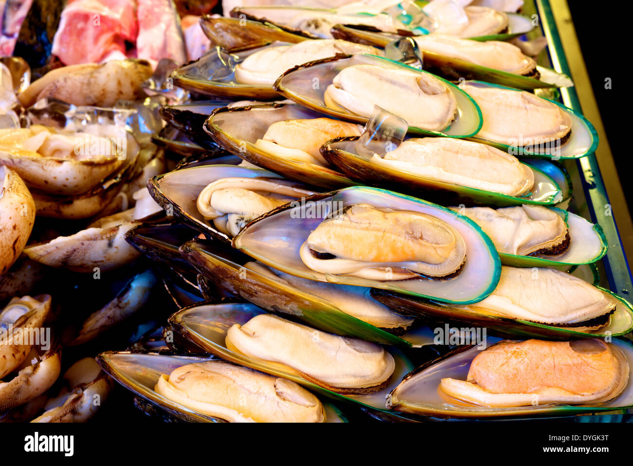 Fresh green mussel with ice on the bar counter Stock Photo