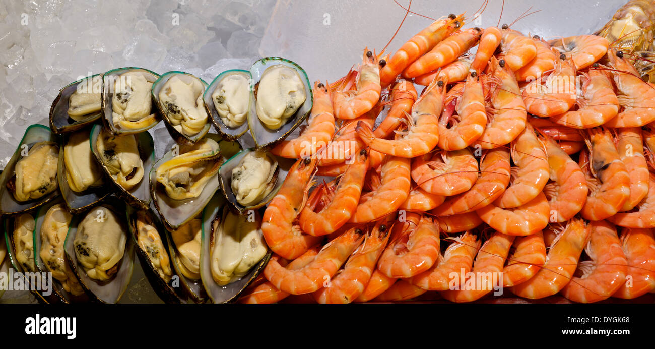 fresh alive mussels and fresh shrimps on Ice in restaurant buffet Stock Photo