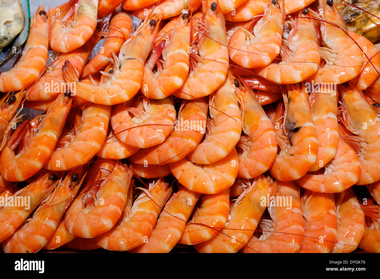 A pile of fresh orange shrimps in restaurant buffet Stock Photo