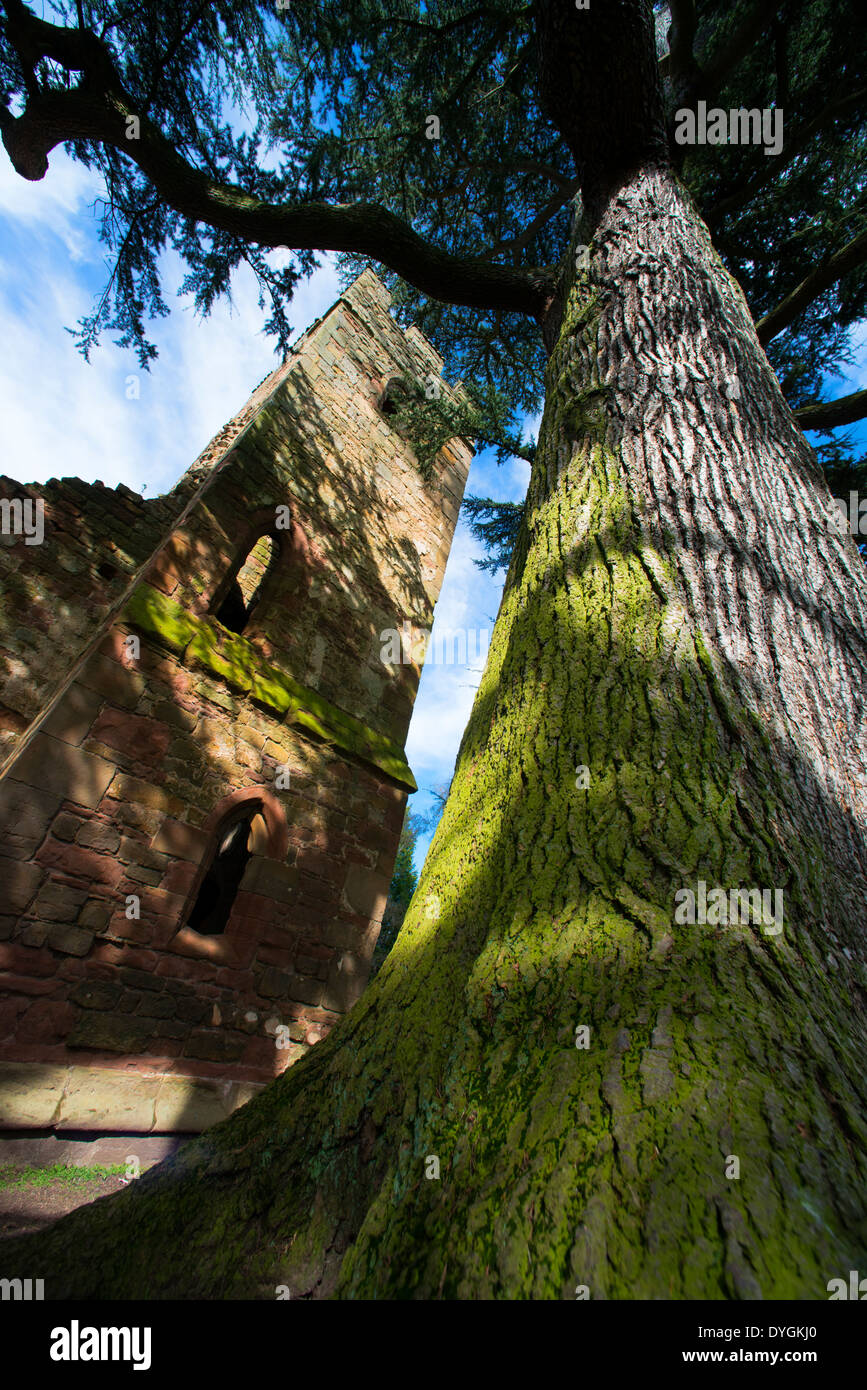 Ruined fortified manor house hi-res stock photography and images - Alamy