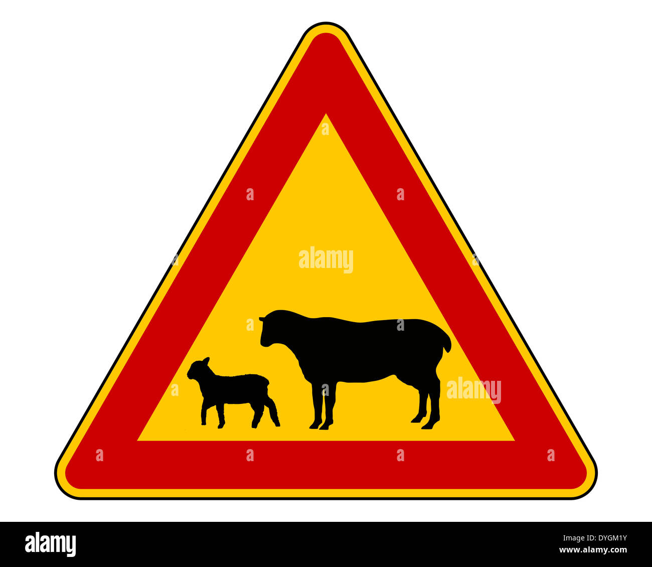 Sheep flock warning sign Stock Photo Alamy