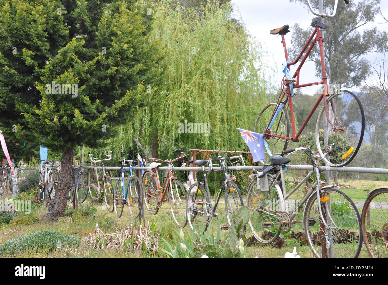 Murray timber online mountain bike