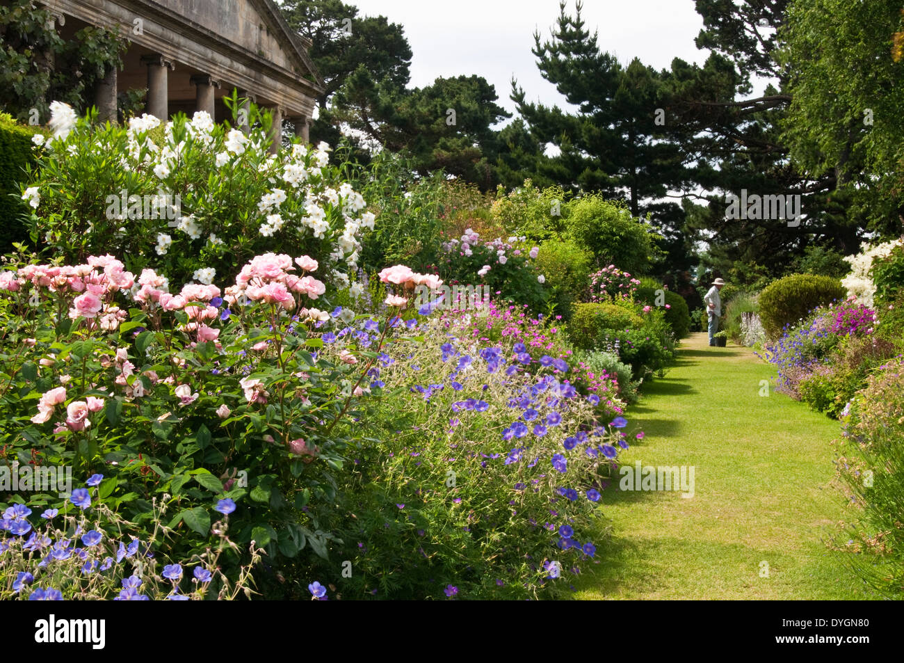 A gardener admires his handiwork in the Wide Border lined with herbaceous plants at Kiftsgate Court gardens in the Cotswolds, Gloucestershire, England Stock Photo