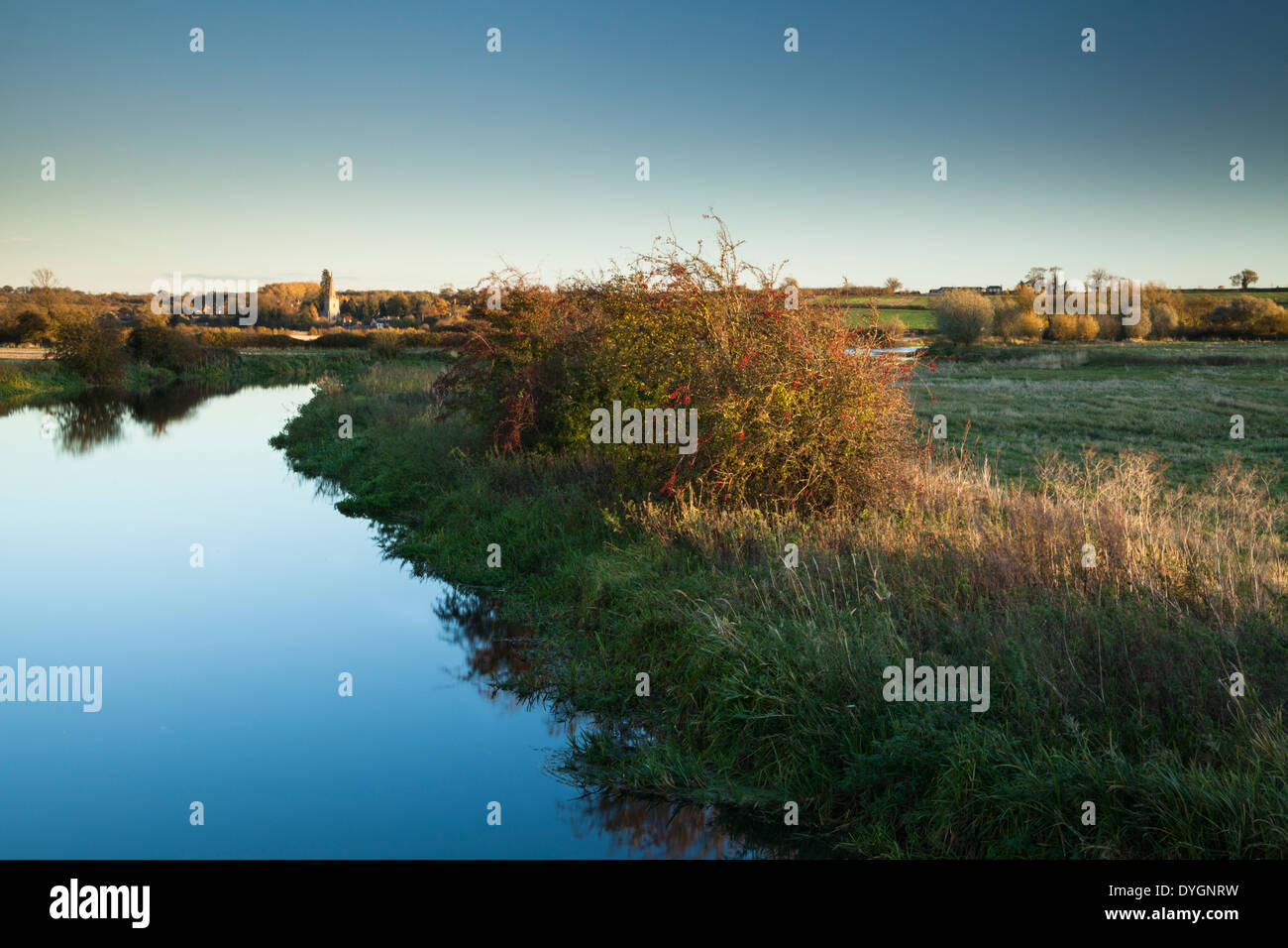 Late afternoon in autumn beside the River Nene, looking towards the village of Denford near