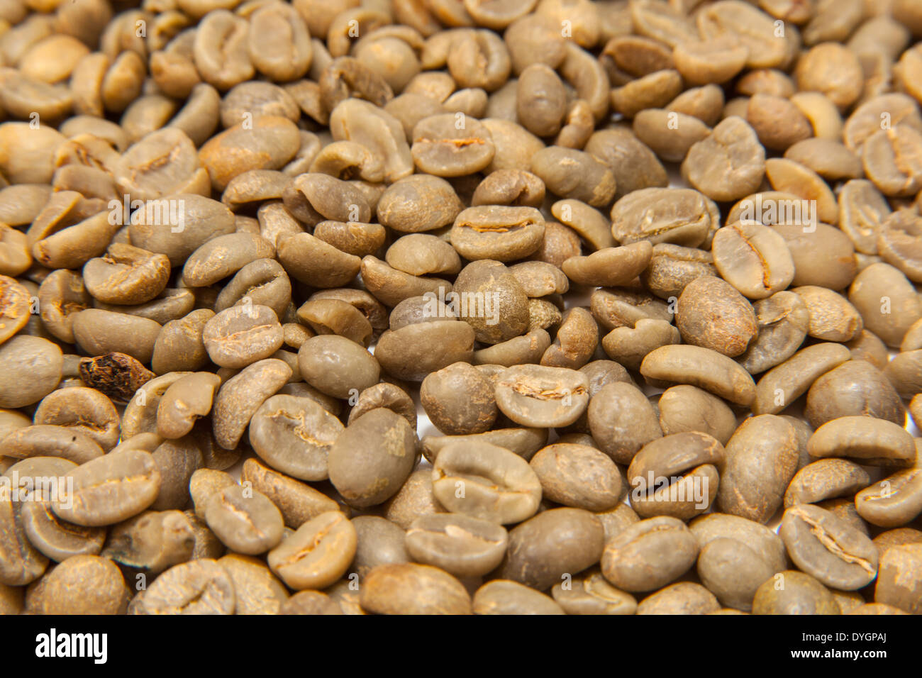 Green Arabica coffee beans. Stock Photo