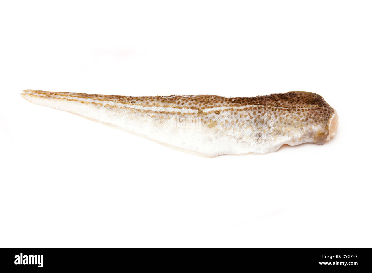Atlantic Cod fillet isolated on a white studio background Stock Photo ...