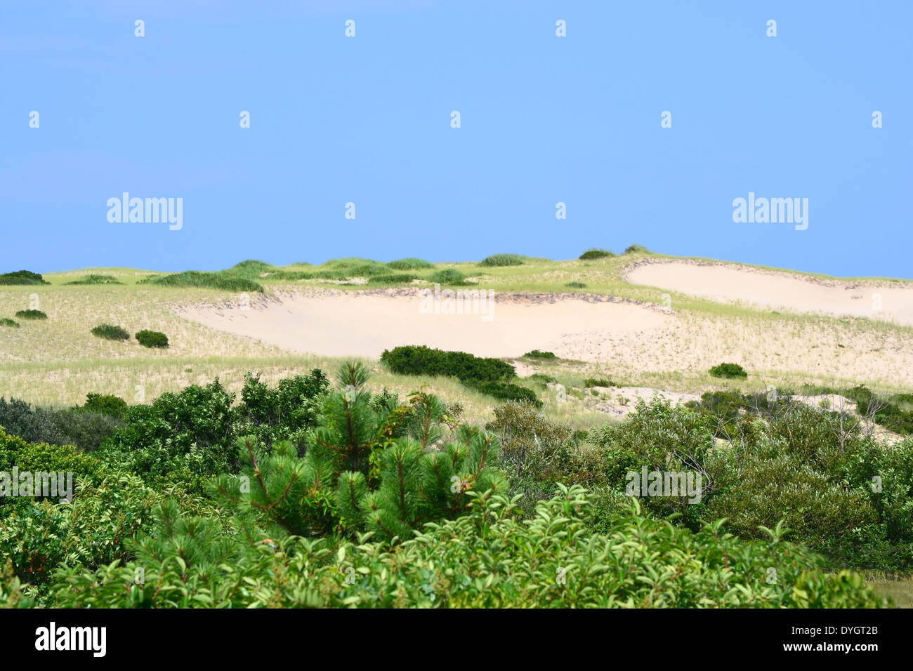 The dunes of Cape Cod, Massachusetts with a blue sky background Stock Photo