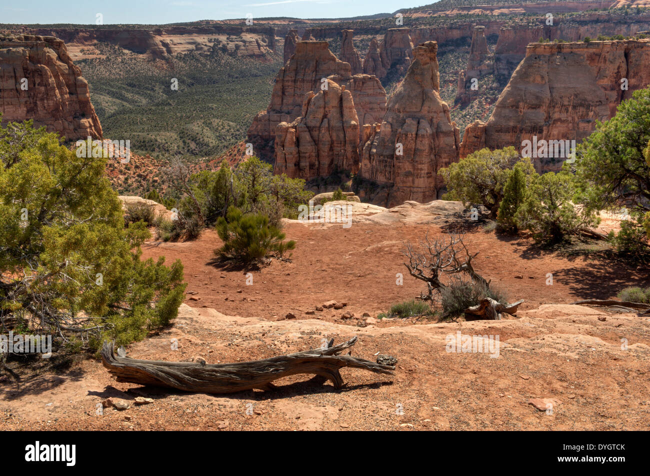 Monoliths (monuments) in the Colorado National Monument. Stock Photo