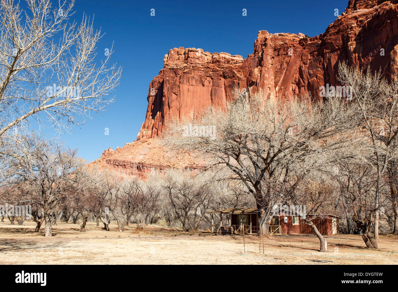 Sandstone bluff and orchards in winter, historic Fruita, Capitol Reef National Park, Utah USA Stock Photo