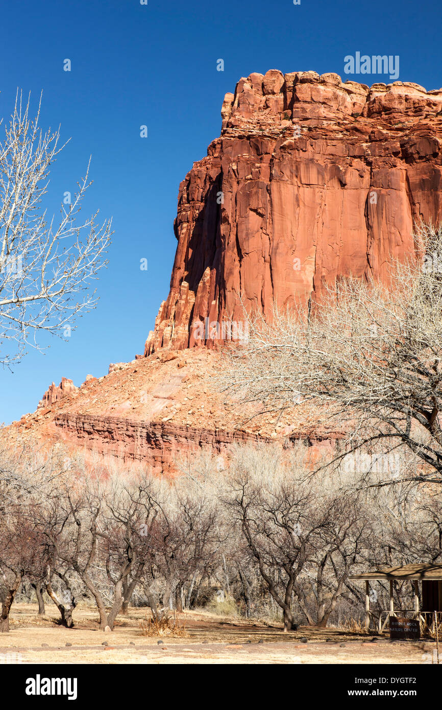 Sandstone bluff and orchards in winter, historic Fruita, Capitol Reef National Park, Utah USA Stock Photo