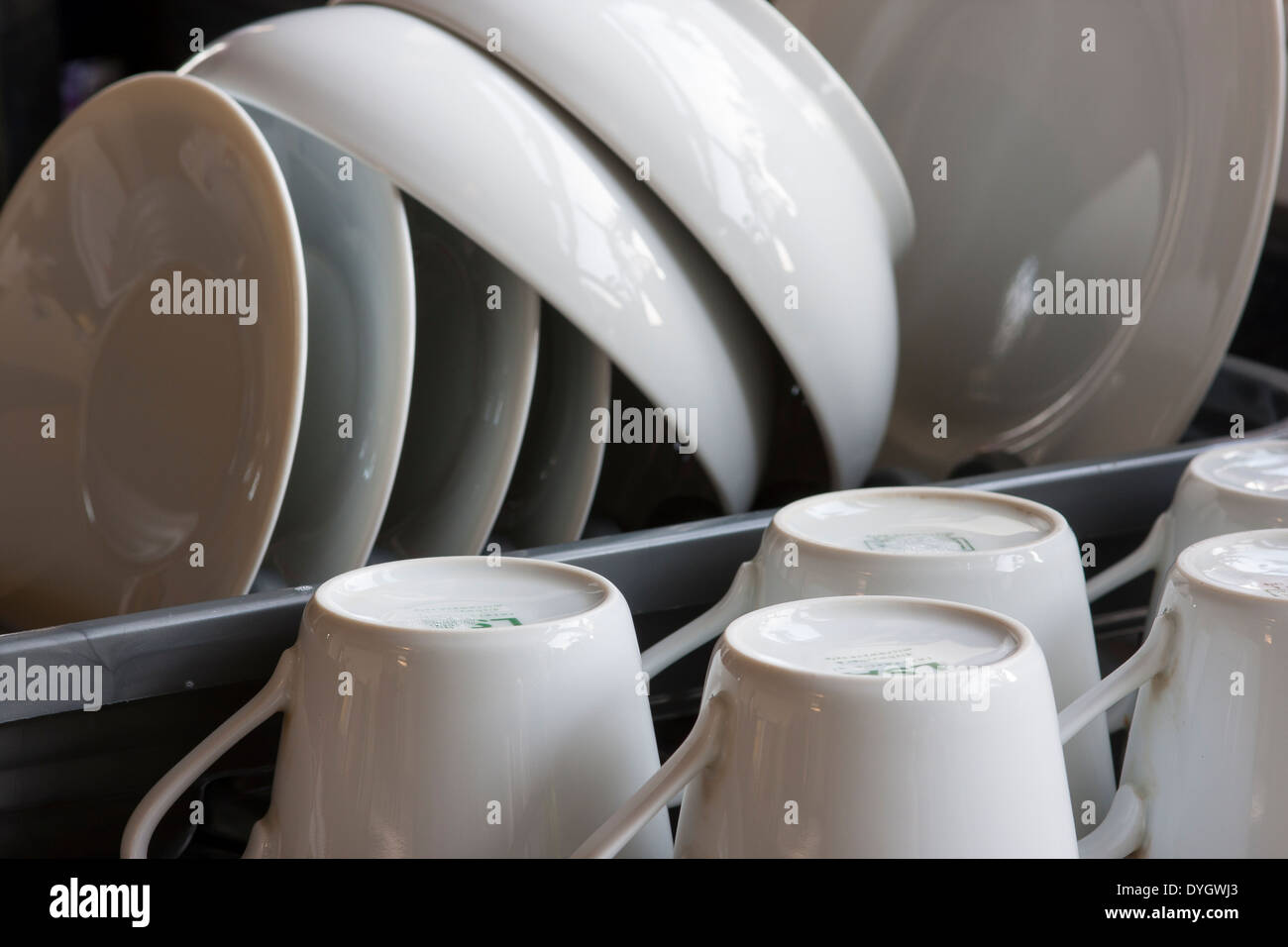 White crockery drying on draining board in kitchen Stock Photo