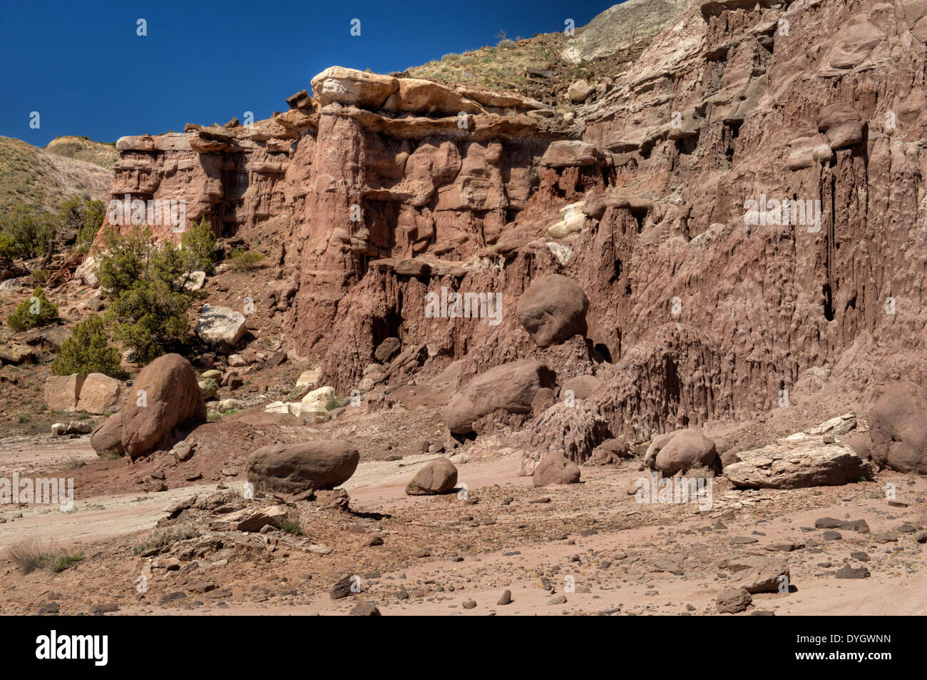 Colorful mud- and clay-stones of the Wasatch Formation west of Debeque, Colorado in the Piceance Basin Stock Photo