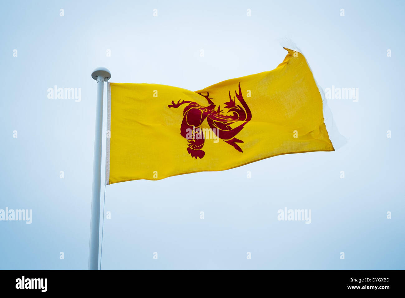Aberystwyht Wales UK, april 17 2014  The Red Walloon Rooster flag of Wallonia, the French community of Belgium, by mistake flying upside down on Aberystwyth promenade Credit:  keith morris/Alamy Live News Stock Photo