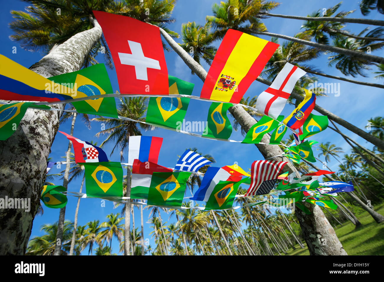 Brazilian and international flags bunting decoration hanging in tropical palm grove forest Nordeste Brazil Stock Photo
