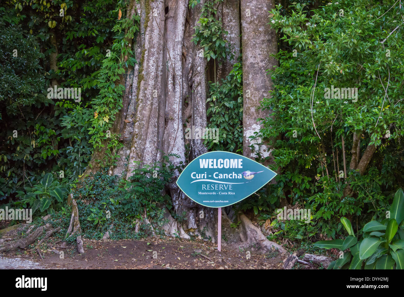 Welcome sign of the Curi Cancha Nature Reserve. Monteverde, Costa Rica. Stock Photo