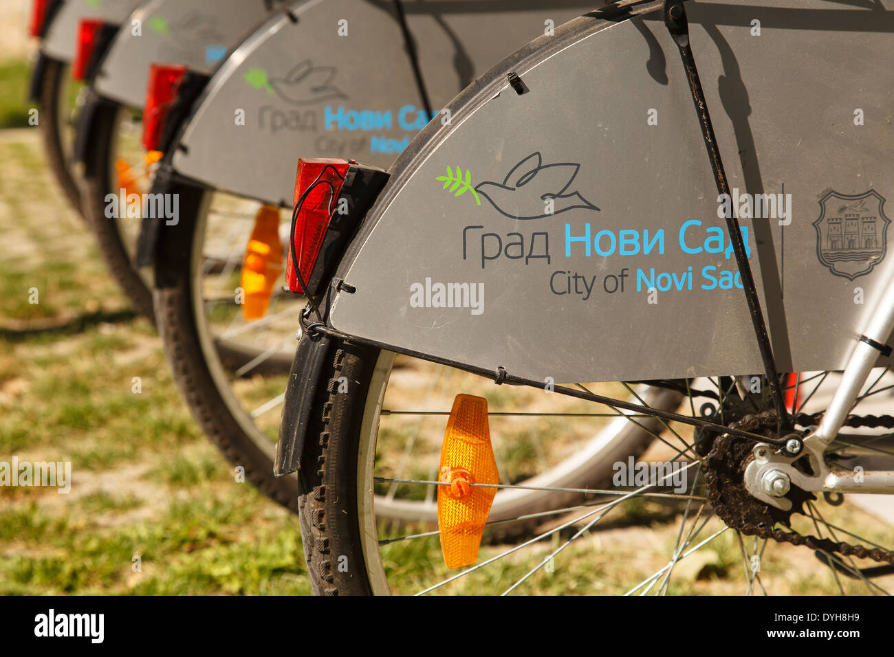strand bikes