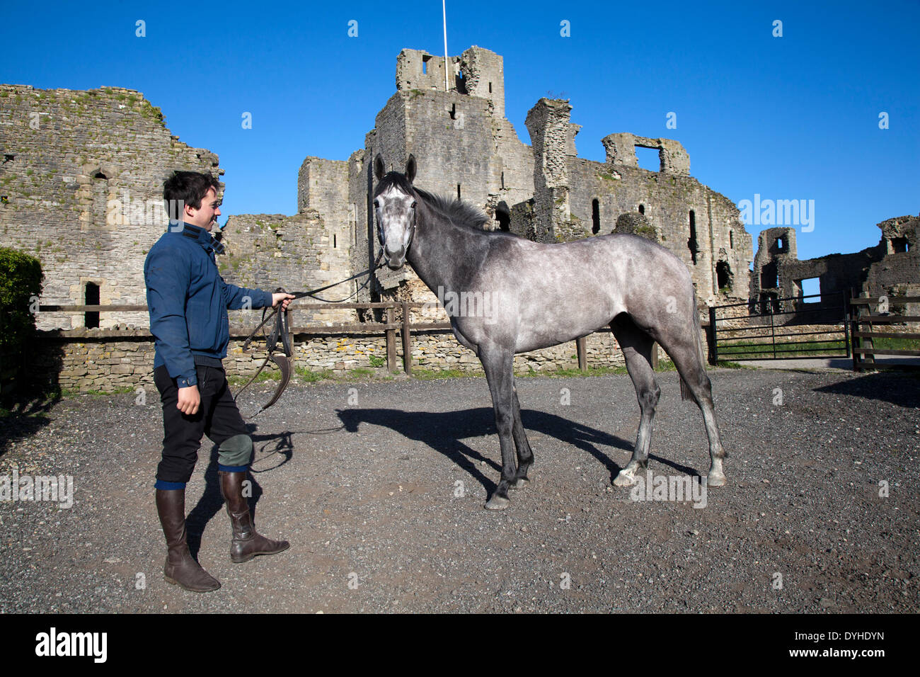 Racehorse Stables High Resolution Stock Photography And Images Alamy