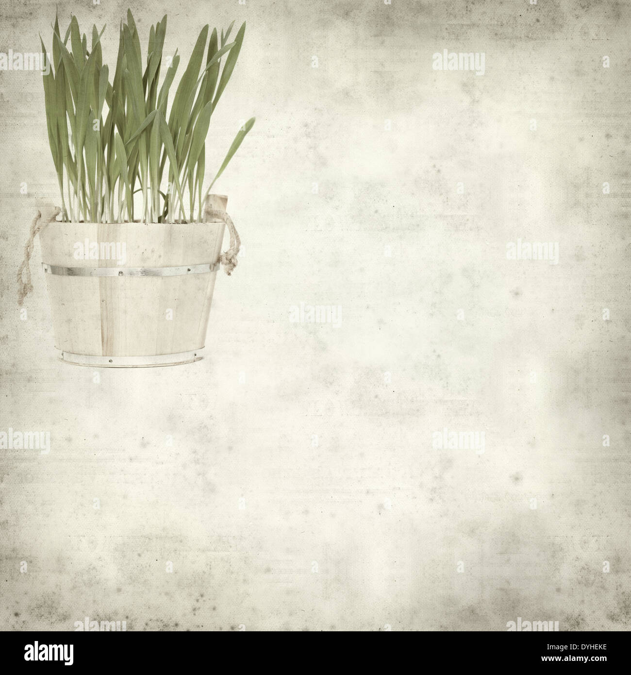 textured old paper background with young growing grass Stock Photo - Alamy
