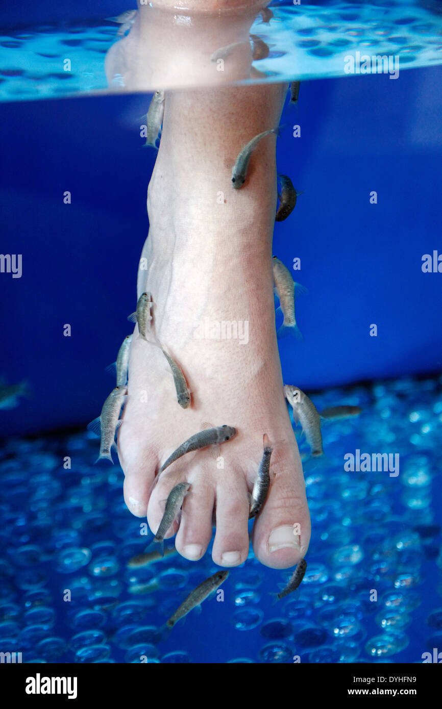 Pedicure feet hires stock photography and images Alamy