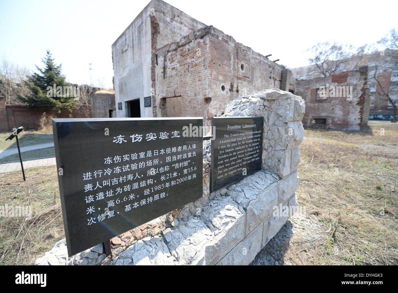 Unit 731 Frostbite
