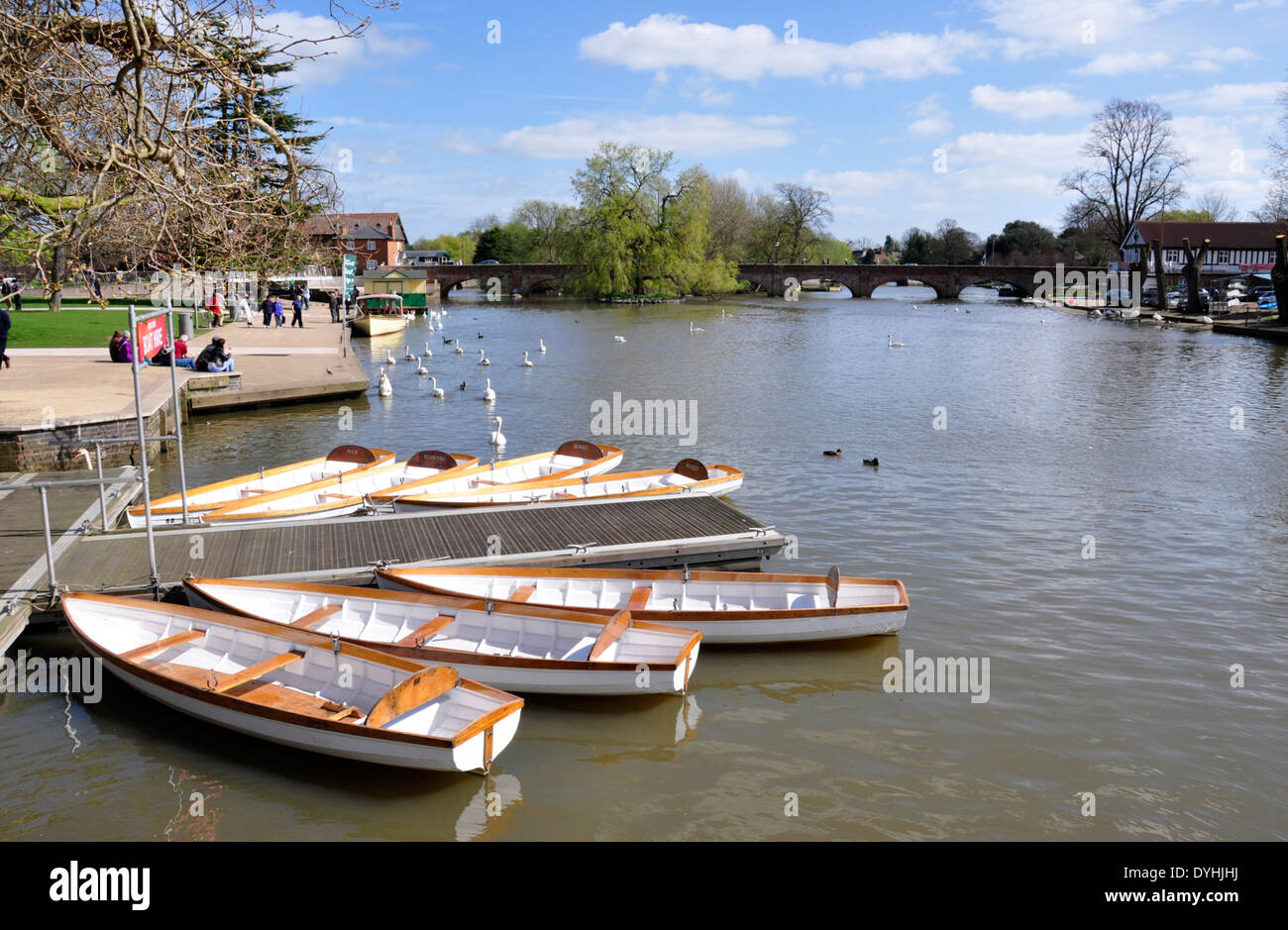 Stratford upon Avon - river Avon - view to Clopton Bridge - hire rowing boats - swans - people walking  - spring sunshine Stock Photo