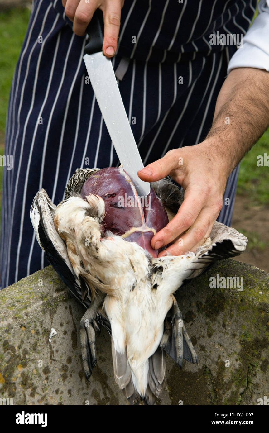 Man Cleaning Freshly Harvested Duck for Meal at Jacana Lodge in the Rio Negro Province of Argentina Stock Photo