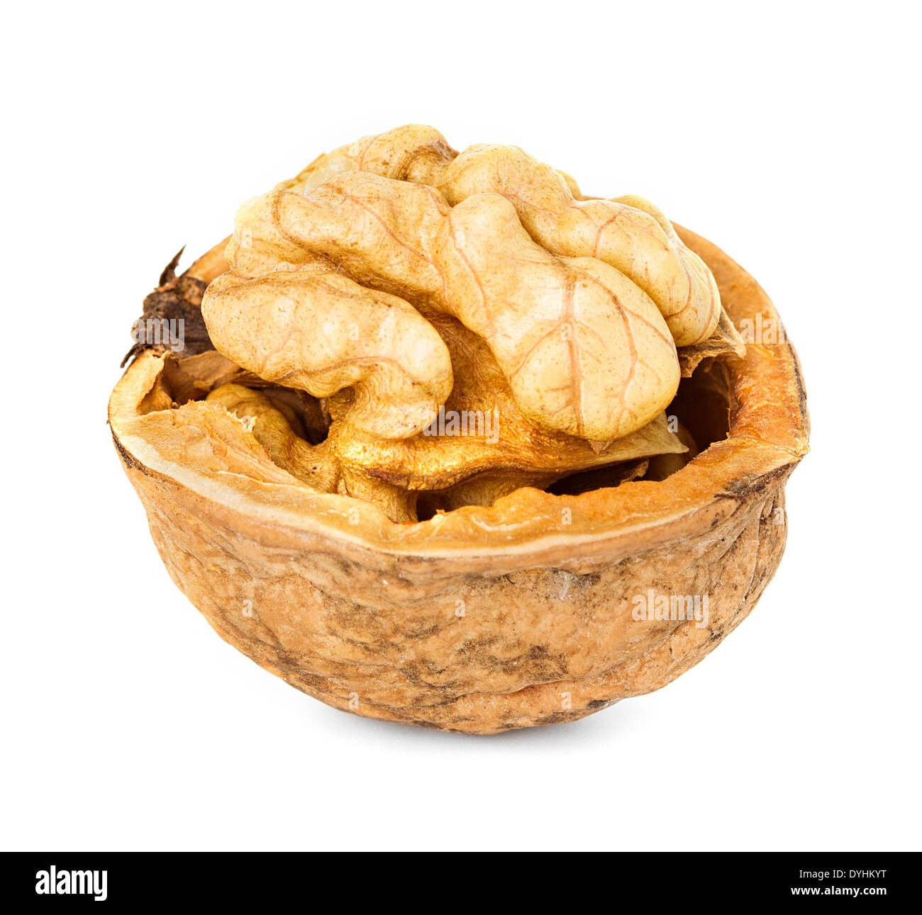 walnut half isolated on the white background Stock Photo Alamy