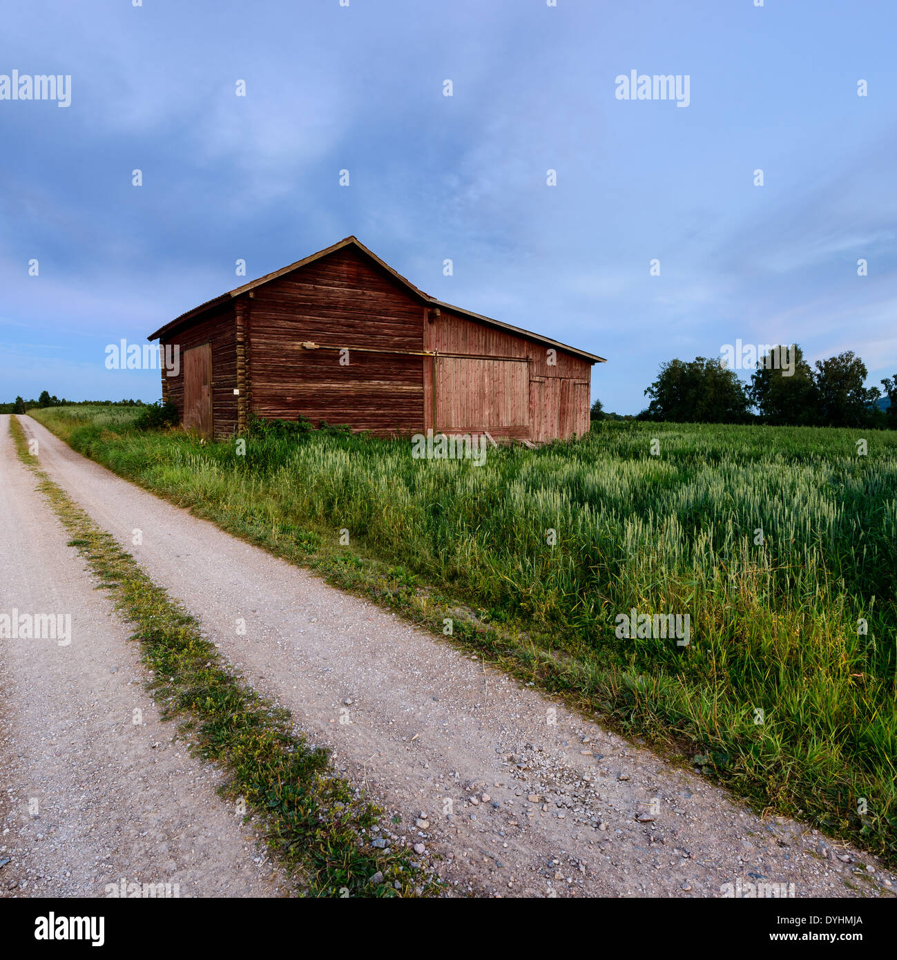 Country lane and farm building, Dalarna, Sweden. Stock Photo