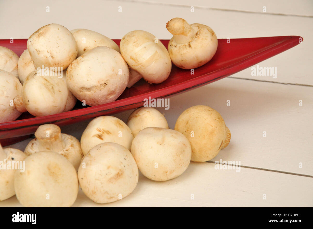 Fresh Button Mushrooms in Red Boat Bowl on White Table in Natural Sunlight Stock Photo