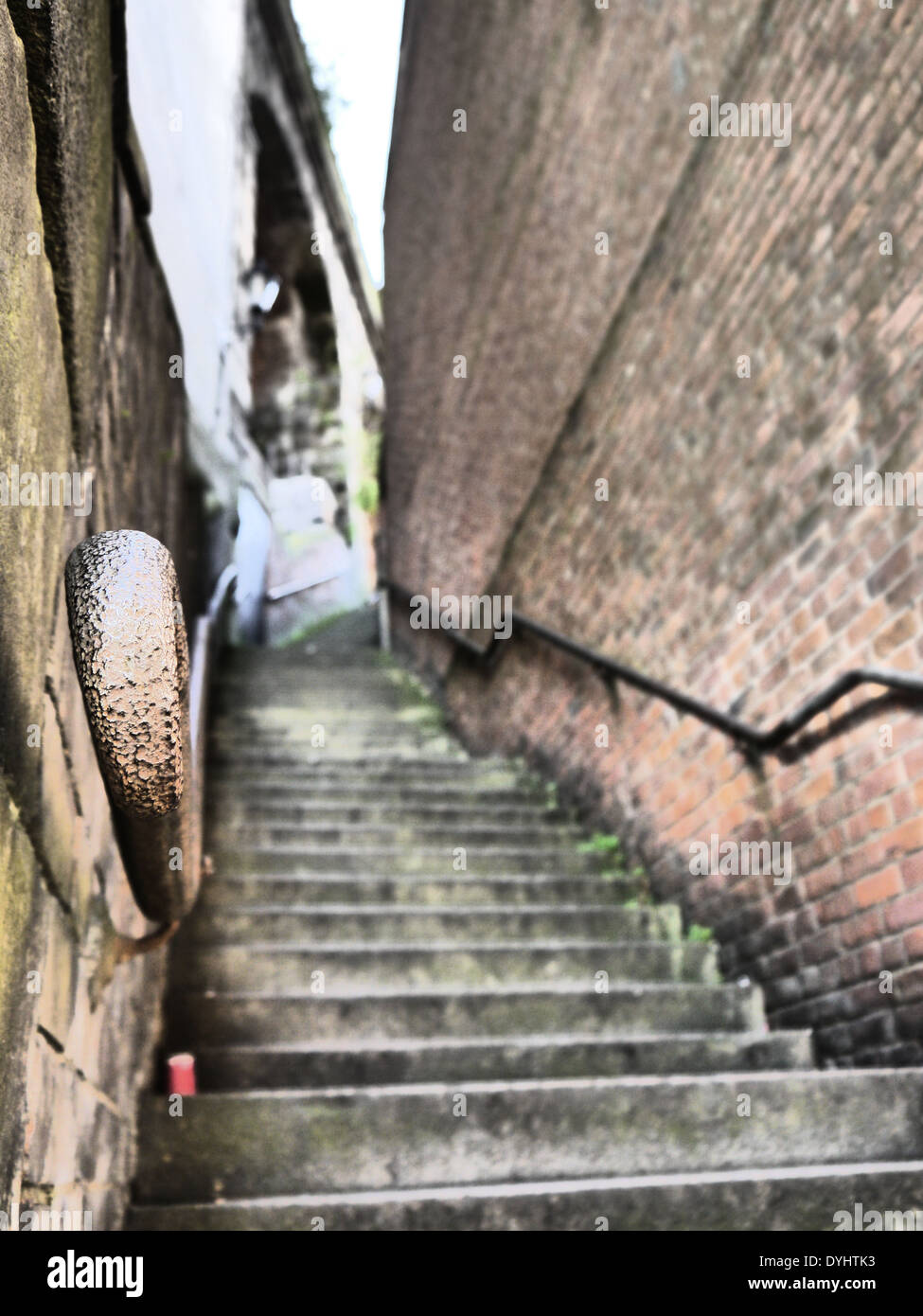 Dog leap stairs newcastle hires stock photography and images Alamy