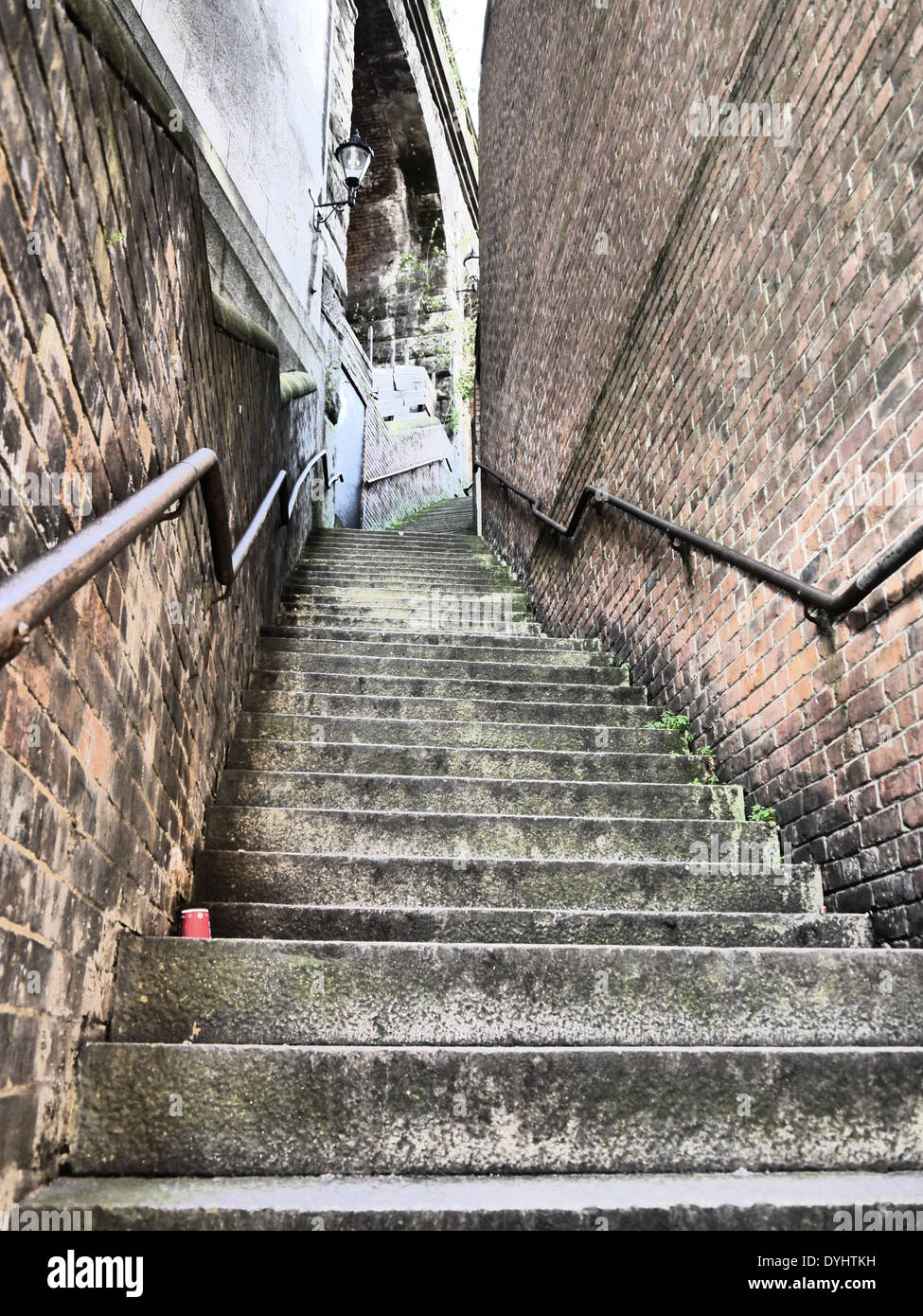 Dog leap stairs newcastle hires stock photography and images Alamy