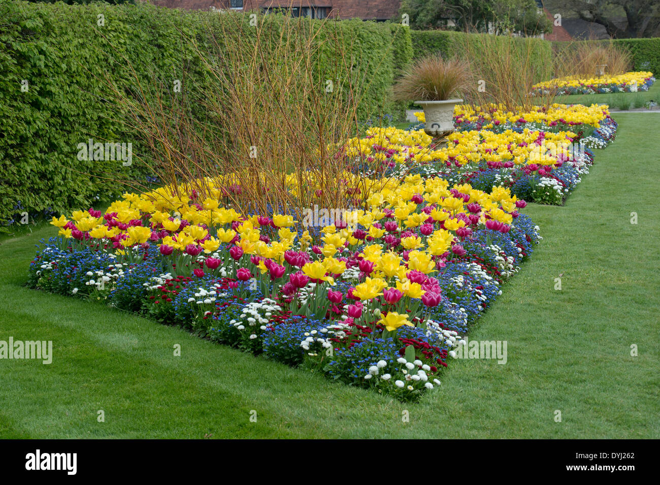 Spring Flower bed Display at RHS Wisley Gardens, Surrey England Stock Photo