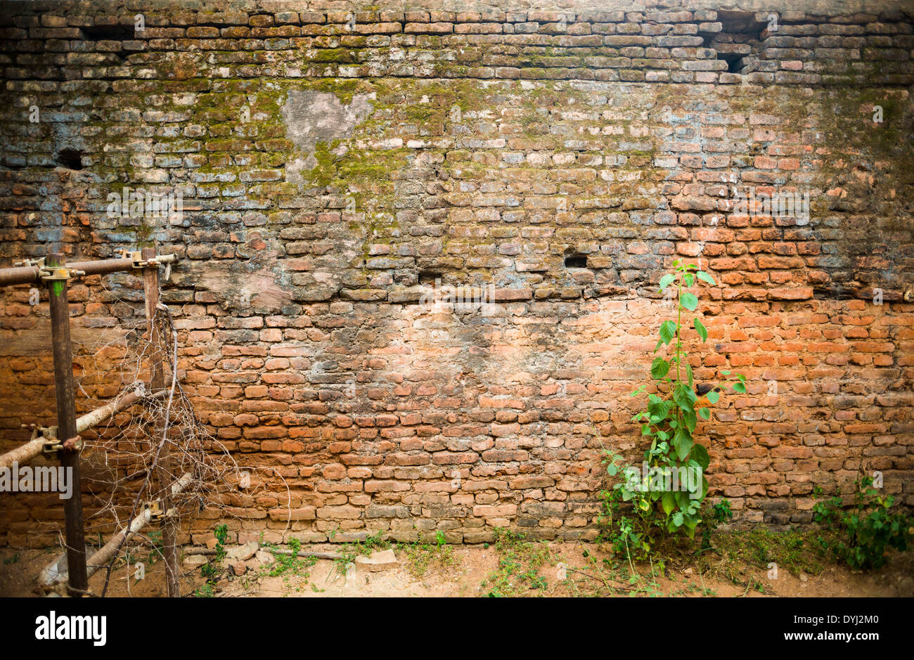 weathered brick wall at an ancient temple in India, abstract background
